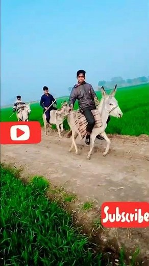 Ertugrul Ghazi Urdu 2 Episode 2 | Season 2