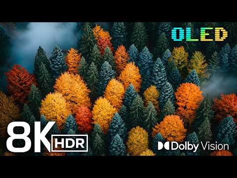 MOST BEAUTIFUL VISUALS 8K HDR Video 120fps - Dolby Vision (8K/4K TV Test)