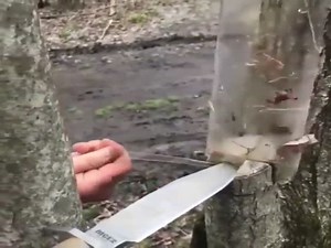 How To Make Ribbons Out Of A Plastic Bottle  (VIDEO)