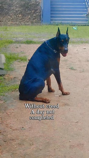 22K views · 696 reactions | A day with creedspike | Creed Spike | Facebook