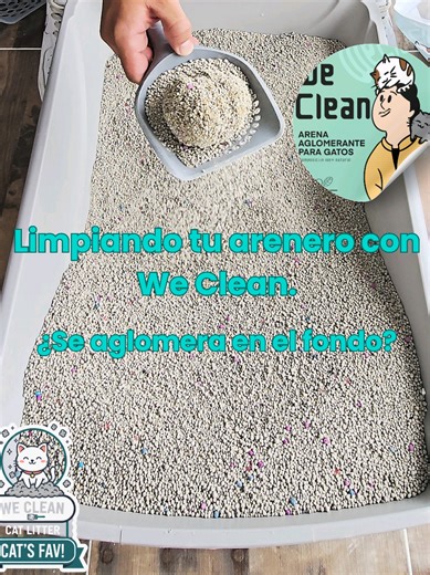 Consejos para mantener la arena de gatos limpia y efectiva
