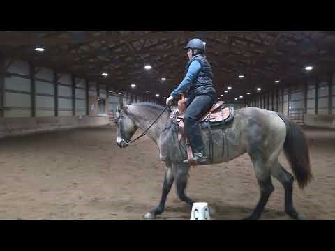 Vicki Sethna, Sparkys Win Dixie, WDAA Level 1 Test 1