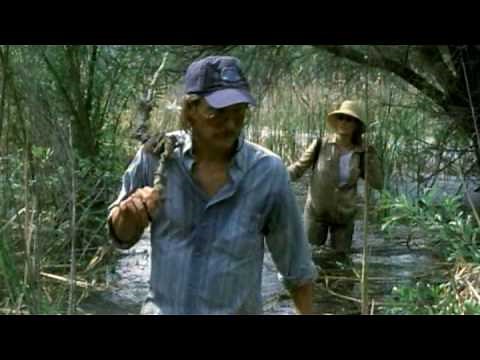 Adaptation - Trailer - HQ