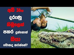 "මිලියන් ඩොලර් ක්‍රොකඩයිල්" චිත්‍රපටයේ කතාව සිංහලෙන්| Movie Explained Sinhala | Sinhala Movie Review