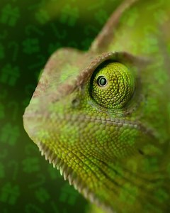 214 reactions · 4 comments | Get ready January babies! It's your birth month and the best way to celebrate it is to score a free treat from us! #MOPMoments Promo runs until January 31, 2020. Per DTI-FTEB No. 00341, Series of 2020. See posters and print ads for complete details. | Manila Ocean Park | Facebook