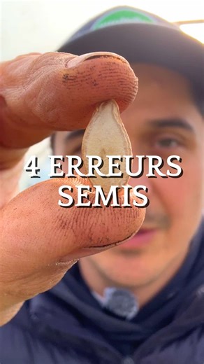 Réussir ses semis : Évitez ces 4 erreurs !