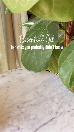 19K views · 90 reactions | Essential oil benefits you probably didn't know! Click link to shop our massive $10 oil sale! https://www.vitalityextracts.com/collections/10-essential-oil-sale | Vitality Extracts Essential Oils | Facebook
