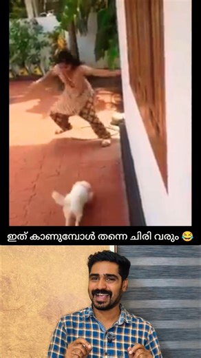 There is no one who doesn't laugh after seeing this😂 #shorts #love #reaction #dog