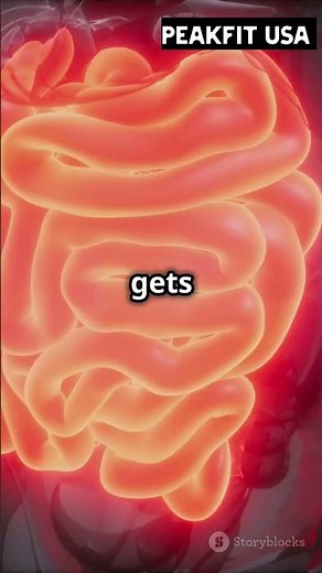 What happens when you drink alcohol on an empty stomach?