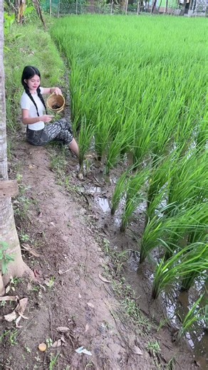 Resep Masakan Tutut yang Lezat dan Praktis