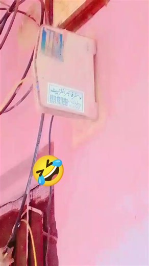 Funny Moments Compilation That Will Make You Laugh