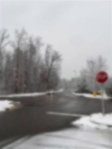 Lynn🌹 (@lin_241202)’s videos with Spring Snow - 10CM