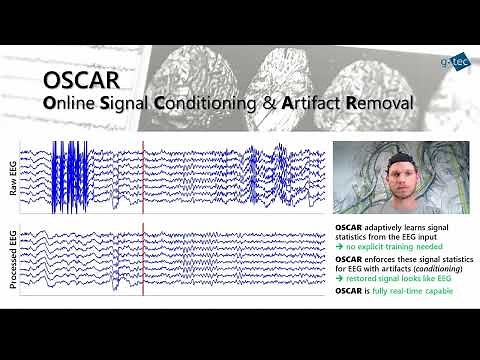 OSCAR Module - Online Signal Conditioning & Artifact Removal by g.tec medical engineering