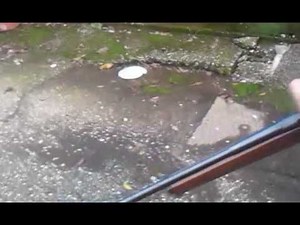 Tiro con con una carabina "Diana Mod.50"