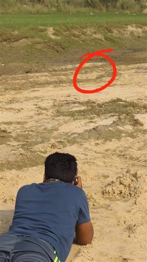 Down to earth, literally — for wildlife📷🌿🐦 Nikon D7500 with Nikkor 200-500mm #riyajul_wildlife #riyajul_photography #reelkarofeelkaro #reelitfeelit #birdphotography #birdwatching #wildlifephotographer #wildlifephotography #birds #birdslover | Riyajul Islam