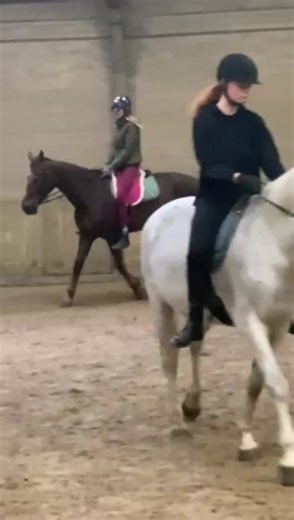 Importance of Using a Saddle When Cantering