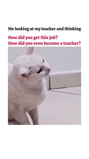 aise kaise mili.😶#trending#shorts#youtubeshorts#viral#relatable#reels#funny#cat#anime#fun#viralvideo