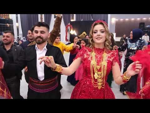 Şeğmuse Erbani Aşiret Gelini Dara Salonu Kızıltepe Düğünleri 2025