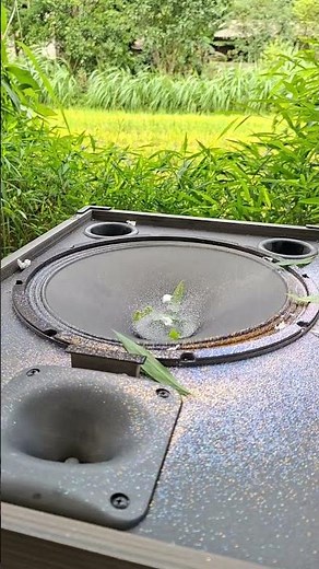 Insane Outdoor Bass Test! 🔊 Watch the Speaker Shake the Field! #basstest #bass #nghia