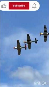 #P-51 #Mustang #airshow #野马喷气式战斗机#兔子