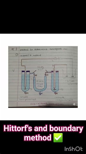 msc chemistry hittorf's method