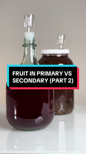 Fruit in primary vs secondary (Part 2) #mead #meadmaking #homebrewing #homebrew #experiment