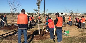 Volunteers needed for Arbor Day Tree Planting event