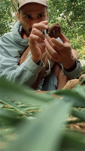 Раскопки на тайной киностудии / следующая серия скоро в профиле