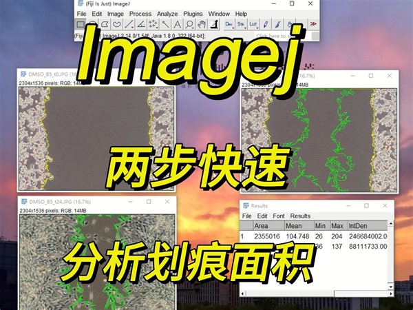 ImageJ两步快速分析细胞划痕面积