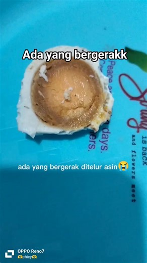 Chicy Widiyanti on Instagram: "Itok talok semari yak talok masing nye mmang asenak bau, udah di balah langsong dimasok kan dalam kulkas, ha kak ye nak makan nye lah tok e, syukor daan langsong ku sompol, asli daan habis nasek ku kelabehan galik😭 #reelsviral #ulat #telurasin"
