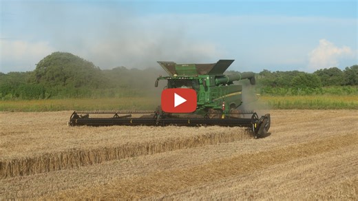 Cutting 100 Bushel Wheat In Central Texas 2023 with John Deere harvesters....... HaydenOnHarvest
