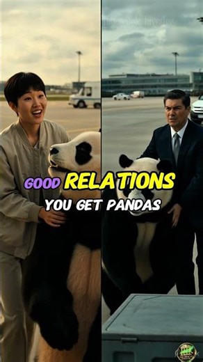 China Sends Pandas to the US… But It’s NOT Just Cute #shorts #Panda #ChinaUSA #GlobalPolitics
