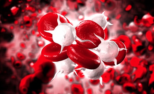 鐵依賴型細胞死亡（ferroptosis）可望讓免疫療法更有效 | GeneOnline News