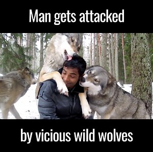 3M views · 27K shares | HOLY CRAP  | UNILAD | Facebook