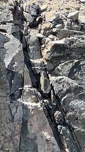 19K views · 17 reactions | Tulare County Sheriff's Office on Reels | Facebook