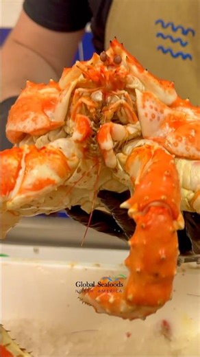 Live King Crab Cooking & Cleaning | Black Caviar Tasting Experience