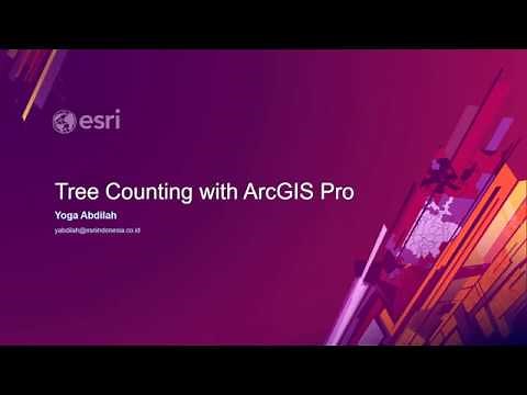 Tree Counting with ArcGIS Pro