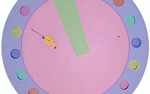 巴恩斯迷宫 barens maze