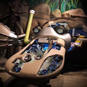 16 reactions | Did you know that a Platypus’ bill has thousands of...