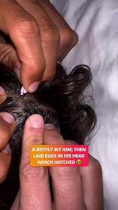 2.1M views · 7.8K reactions | New fear unlocked 練 | Lessons Learned In Life | Facebook