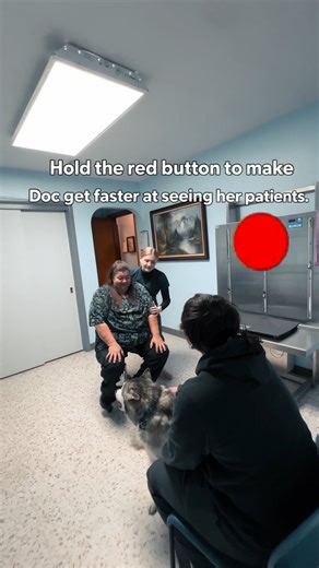 🔴 Hold the red button… Doc’s on the move 🐶🐾 Helping Doc to her patients faster—because every pet deserves timely care 💙 📍 Come visit Veterinary Preventive Care today! #HoldTheRedButton #VeterinaryPreventiveCare #VPC #VetLife #PetCare #DogLovers #CatLovers #PreventiveCare #LocalVet #BeavercreekOH | Veterinary Preventive Care LLC