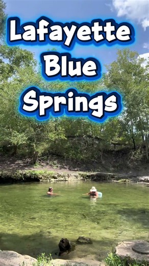 We Found This in Mayo, Florida! | Lafayette Blue Springs #Shorts