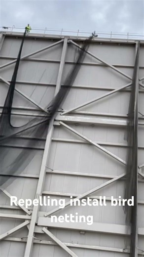 Repelling installing Bird Netting