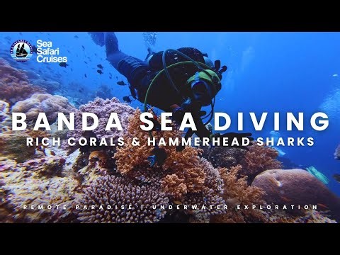 Explore Marine Indonesia | Spice Islands Banda Sea