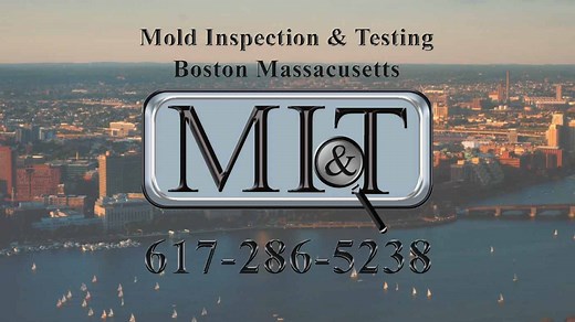 Mold Inspection & Testing Boston Massachusetts