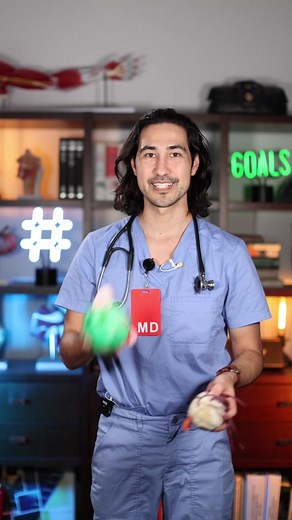 Bacteria come in many different shapes! Plush bacteria toys by @GIANTmicrobes #giantmicrobes #biology #microbiology #science #science101 #doctor #internalmedicine #premed