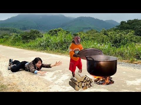 Monkey Abu boiled warm water for bathing, surprising Mom!