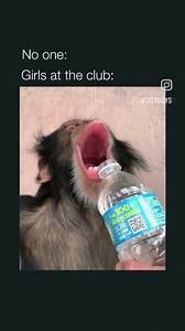 Your loyal untouchable girlfriends | Real Carven Woods