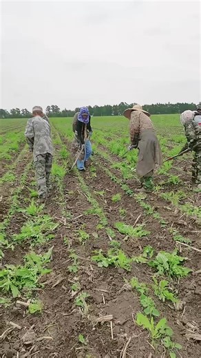 Incredible Farmers: Outstanding Agricultural Practices