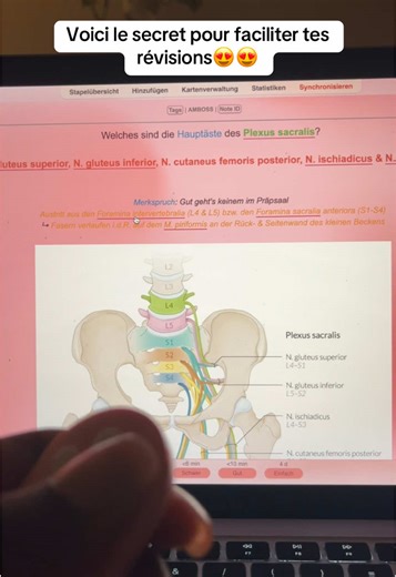 Sauve ton semestre avec Anki et la révision à distance